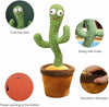 Dancing Cactus Toy